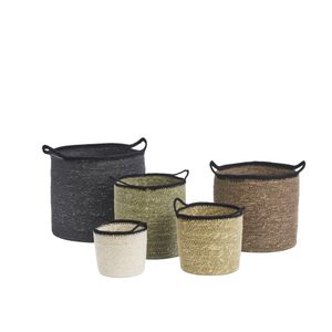 Hovedbilde Madam Stoltz- Kurver i ...