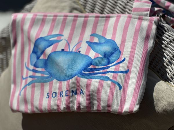 Sorena Lucky Clutch LC003