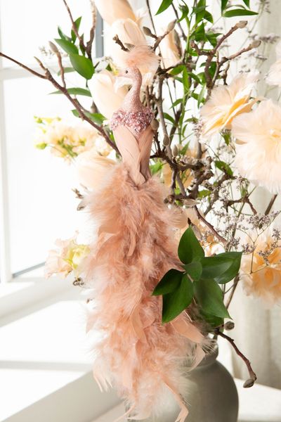 Påfugl clip- Dreamy